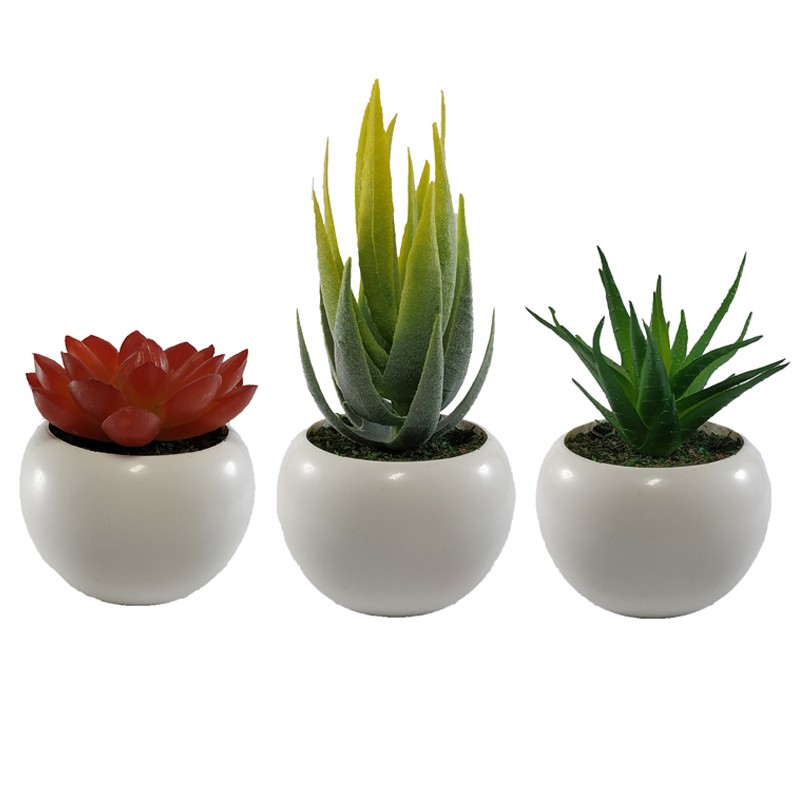 Bunga Cactus Mini Artificial Sekulen Kaktus Plastik Set Pot/ Artificial Cactus/ Succulent Palsu 0058
