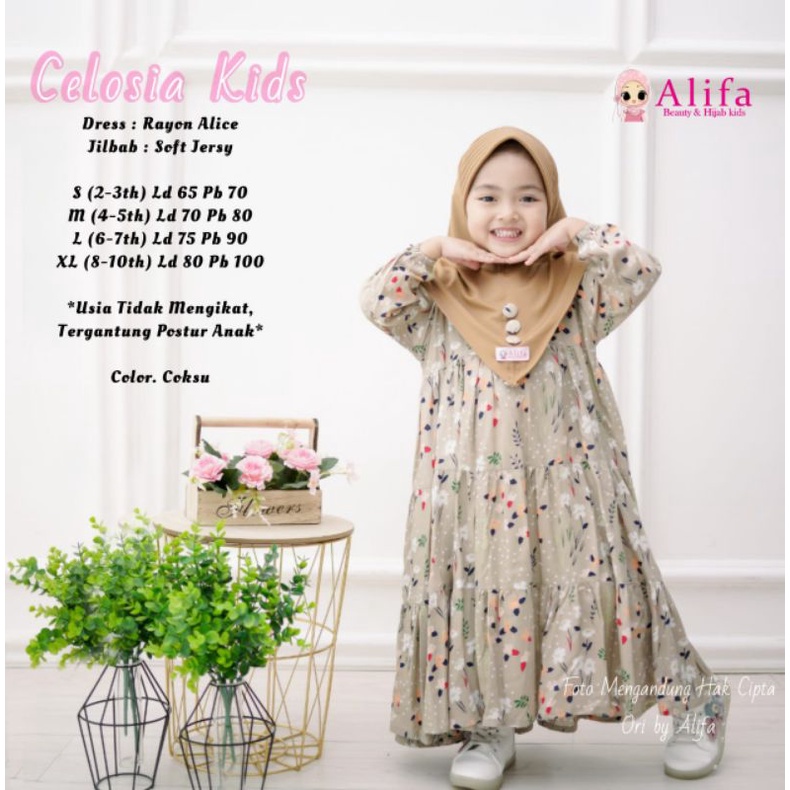 CELOSIA KIDS ALIFA