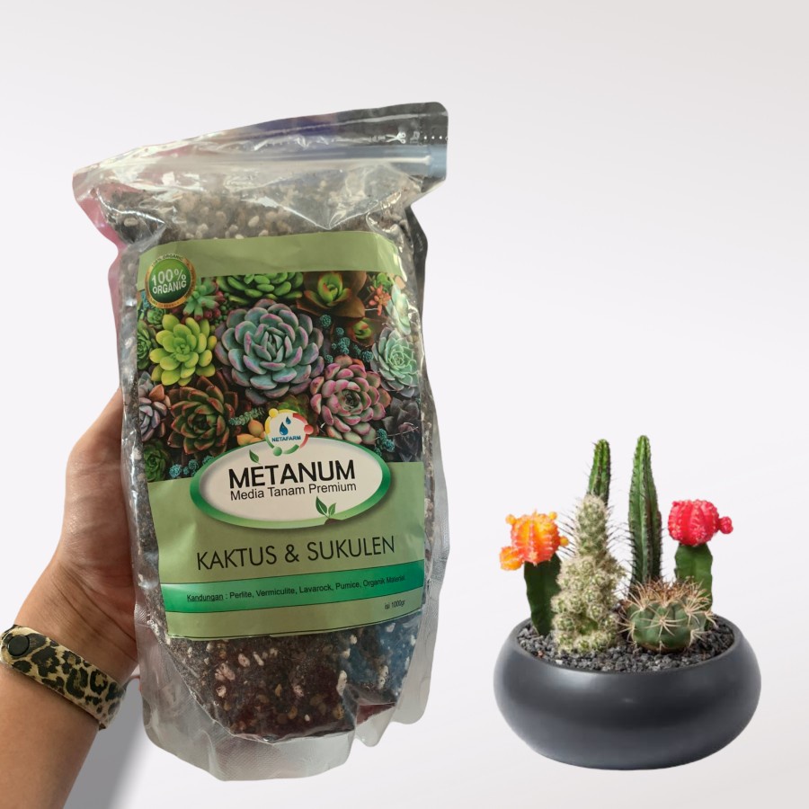 Media tanam premium kaktus sukulen metanum 1 kg