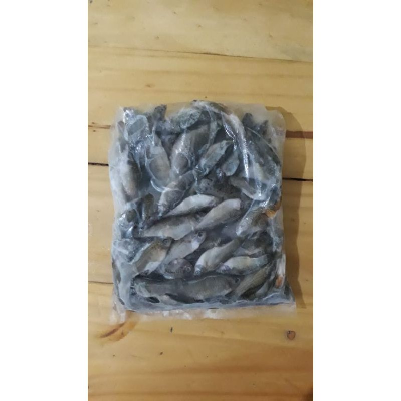 

ikan cere laut 500