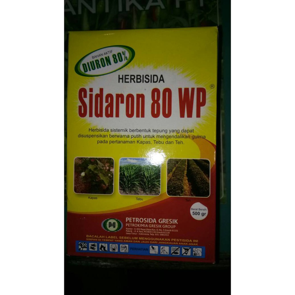 Herbisida/racun rumput/obat rumput Sidaron 80 WP | Shopee Indonesia