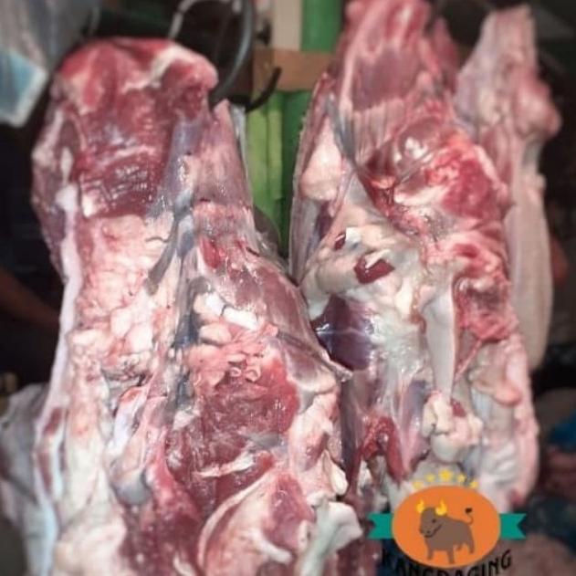 

Daging Kepala Sapi 1 Kg Storetaufik_