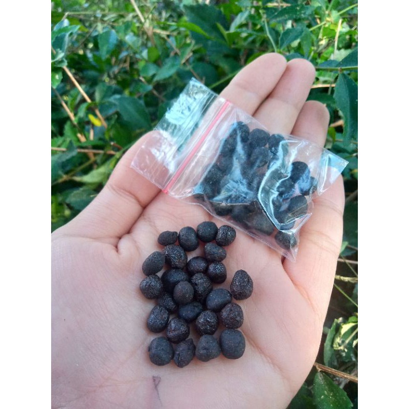 

jamu glintiran
