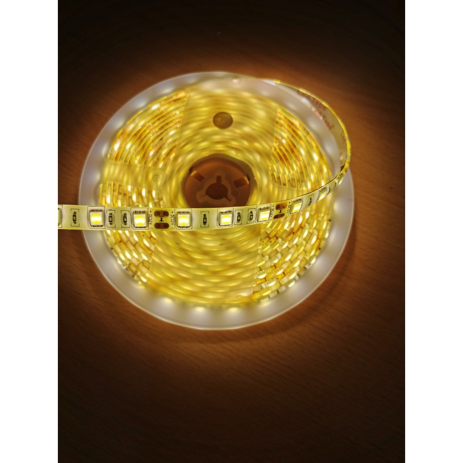 LED Strip SMD5050 IP55 Outdoor 12V