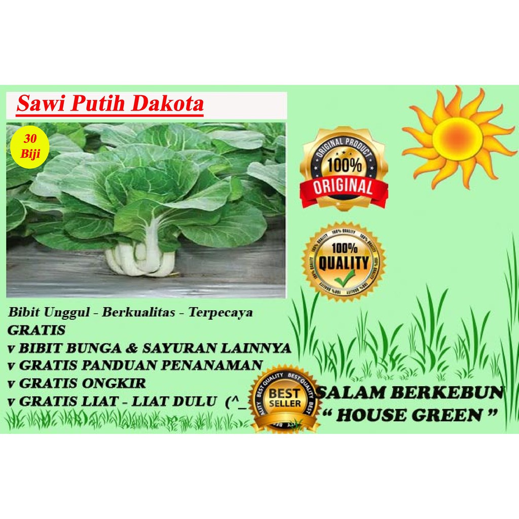 Sawi Putih Dakota Murah Isi +30
