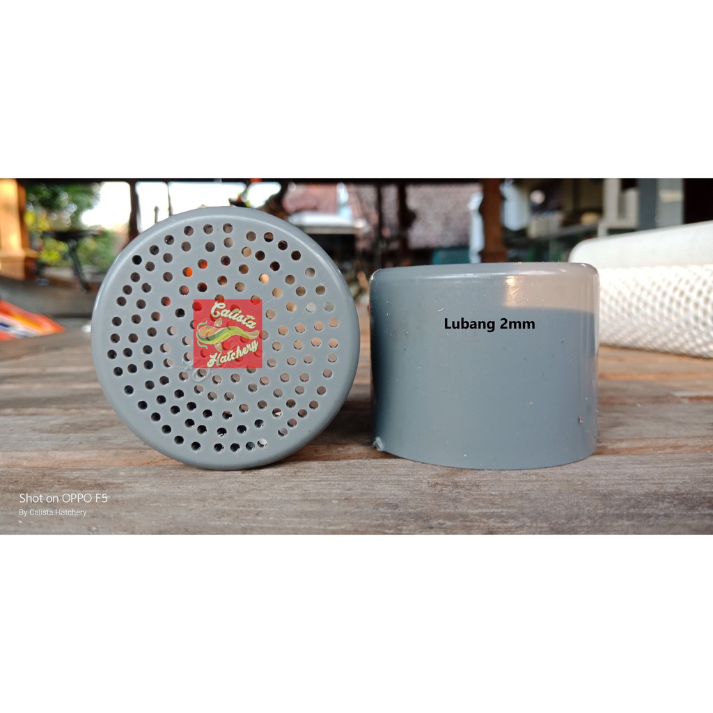 Dop - Tutup Paralon 1,5 Inch Lubang 2mm