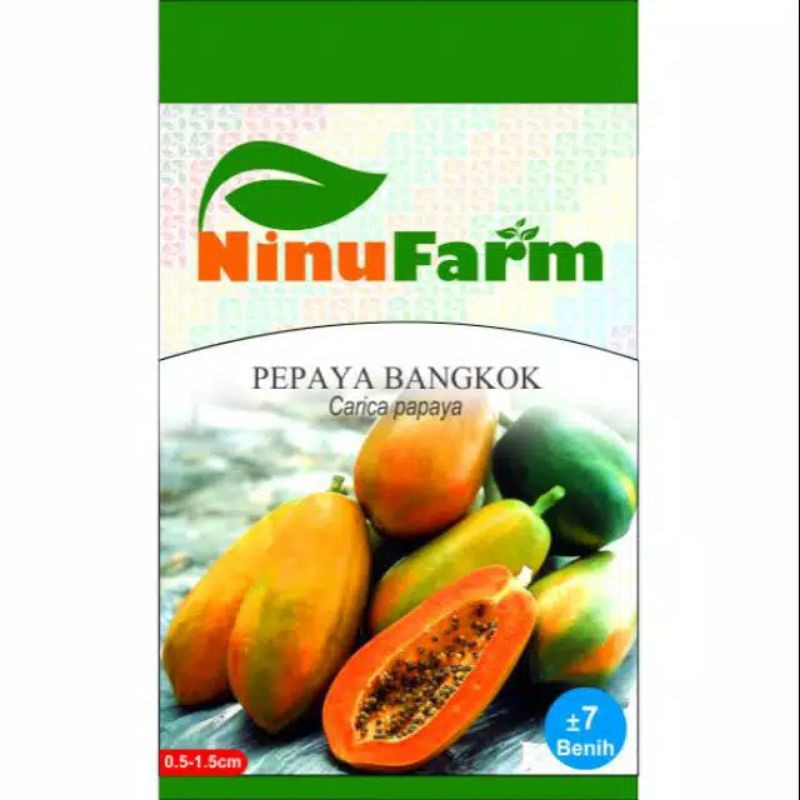 Benih PEPAYA BANGKOK