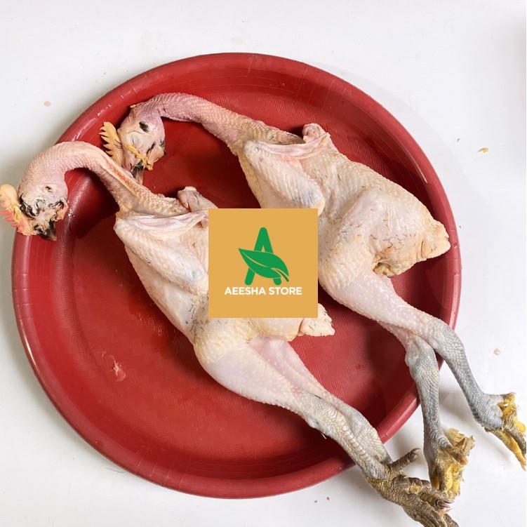 

Ayam Kampung Asli Kaki Hitam Utuh AEESHASTORE