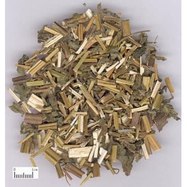 

Huo Xiang 藿香 Pogostemonis Herba 1kilo gram