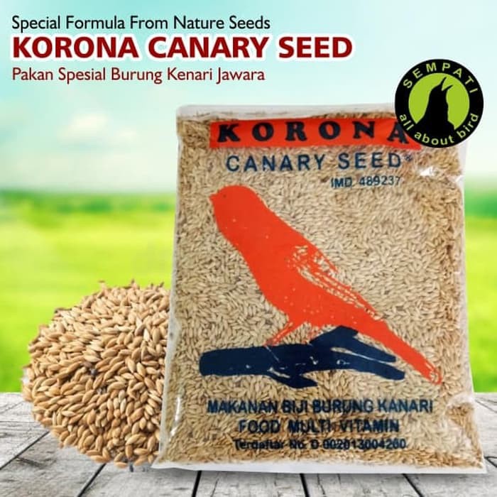 KORONA CANARY SEED PAKAN BURUNG KENARI