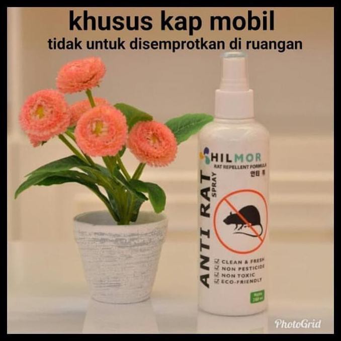 Produk Terlaris Ess Pengusir Tikus Hilmor Anti Rat Spray Untuk Kap Mesin Mobil Pengiriman Cepat