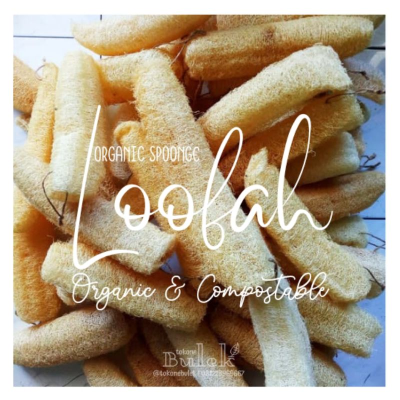 Loofah Oyong Gambas Kering Spons Organik