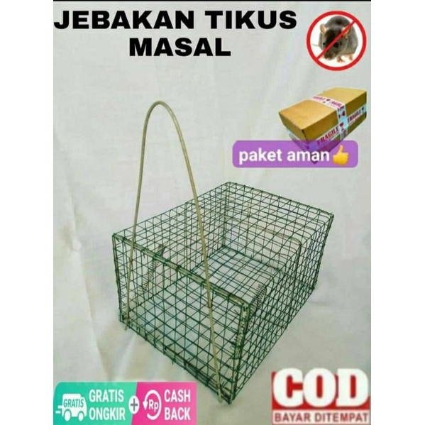 penjerat tikus / senteg