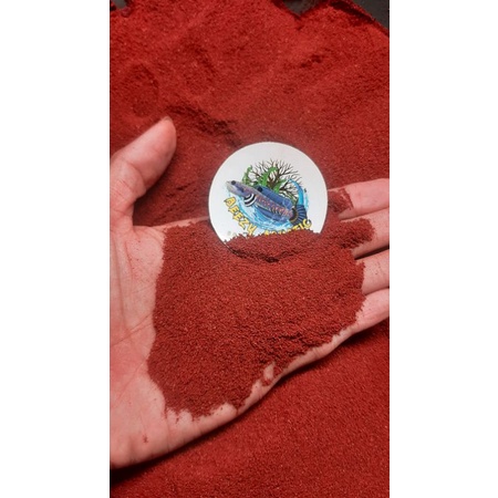 PASIR MERAH SUPER HALUS IKAN PREDATOR CHANNA
