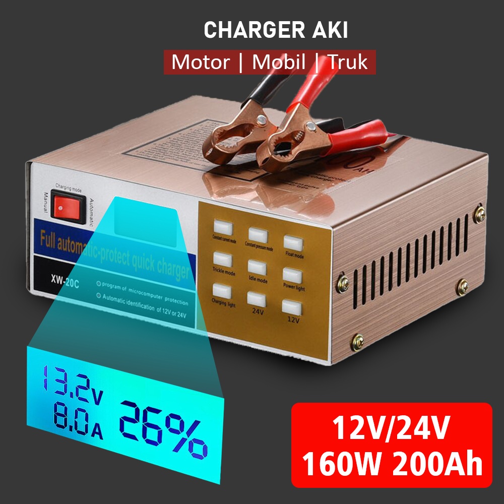 Charger Aki Mobil Taffware Lead Acid Battery 12V/24V 100AH - LD-002S