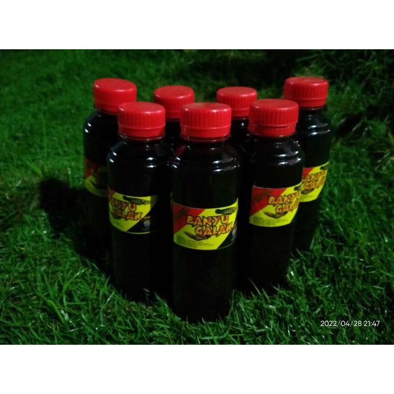 Obat Herbal Treathment Channa (BANYU GALAK)