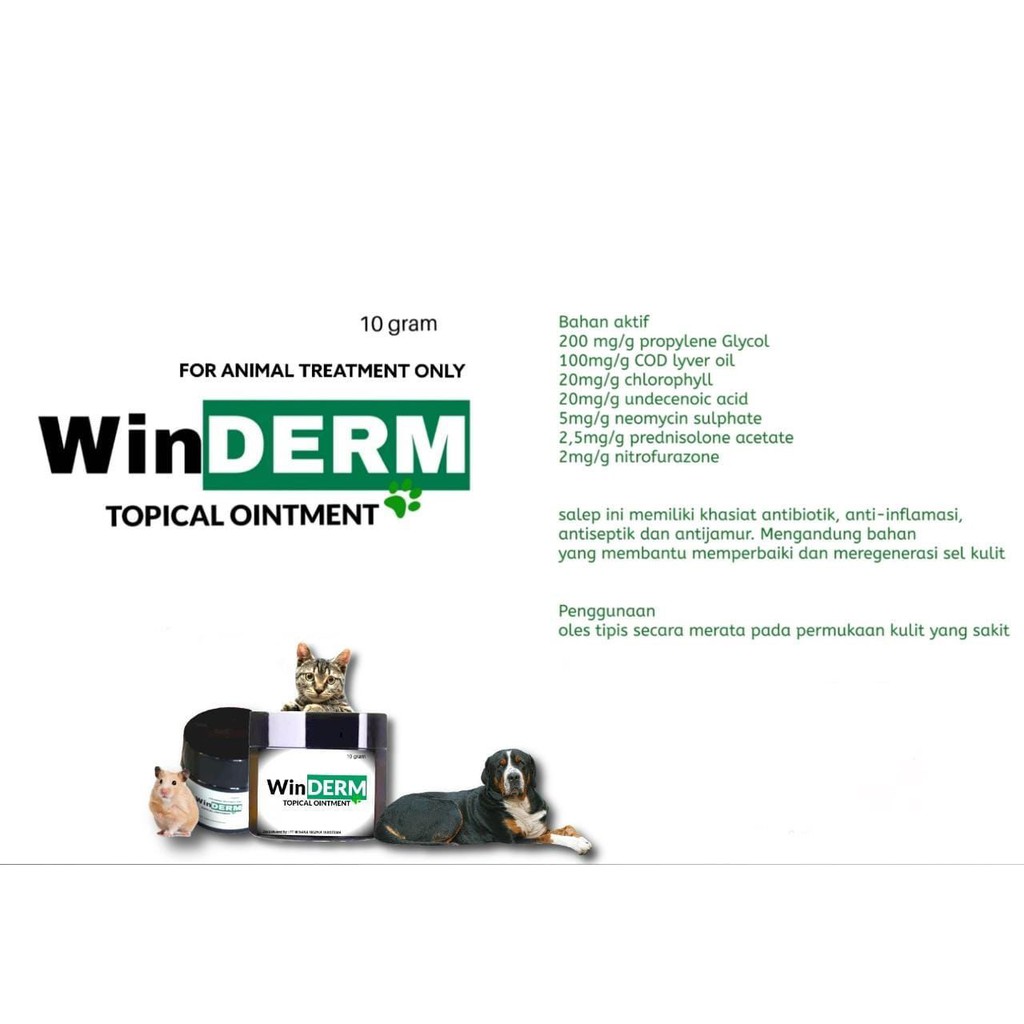 WinDERM Topical Ointment 10gr Obat Luka Luar Salep Kulit Hewan