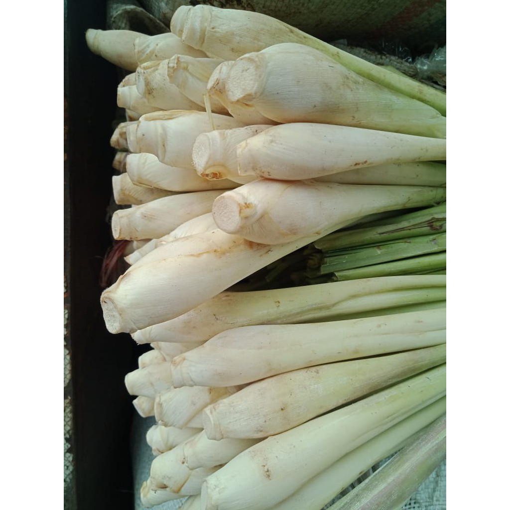 

sereh bumbu dapur segar