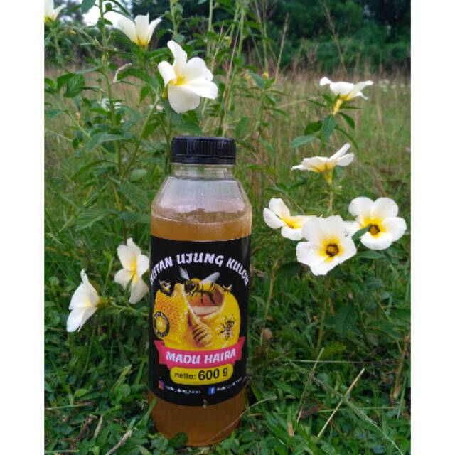 

Madu Ujung Kulon - 600 gr (Serang-Banten)