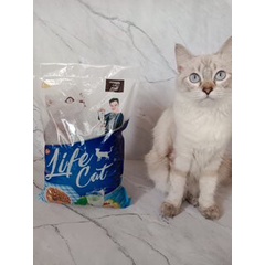 Life cat Dry Food 1 kg makanan kucing kering life cat premium 1 kg