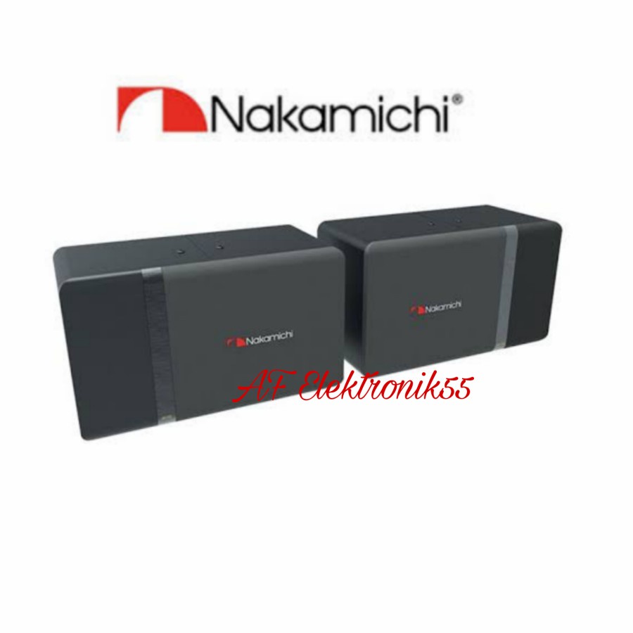 Speaker Karaoke AV 110 Nakamichi Original ( 10 inch )