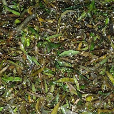 

TAMBAHAN EXTRA DAUN JERUK | DAUN JERUK KERING | DAUN JERUK | DAUN JERUK ENAK MATANG KERING
