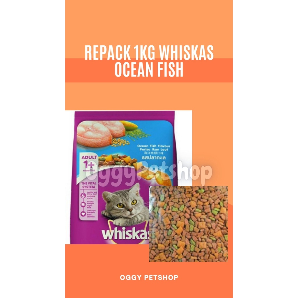 Makanan Kucing WHISKAS OCEAN FISH 1KG | WHISKAS ADULT OCEAN FISH 1Kg