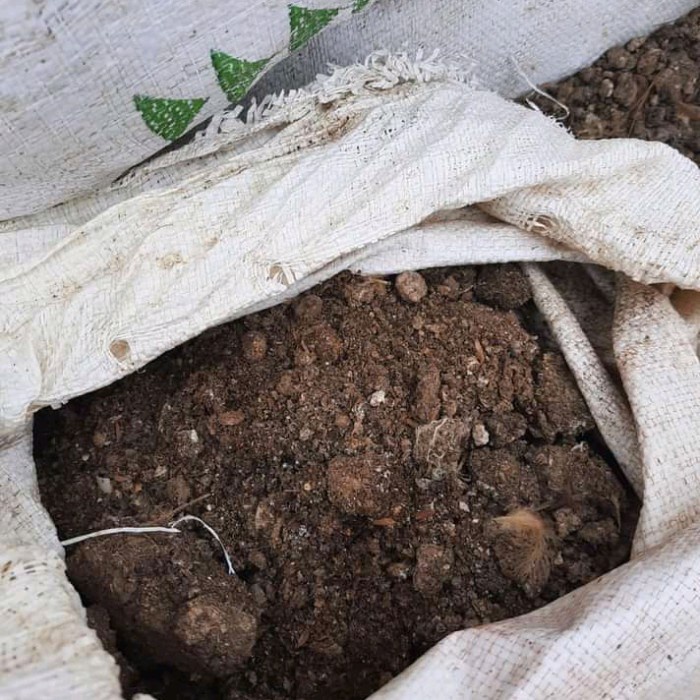 New KOHE AYAM PETELUR KARUNGAN/KOTORAN AYAM MURNI/KOTORAN AYAM PETELUR