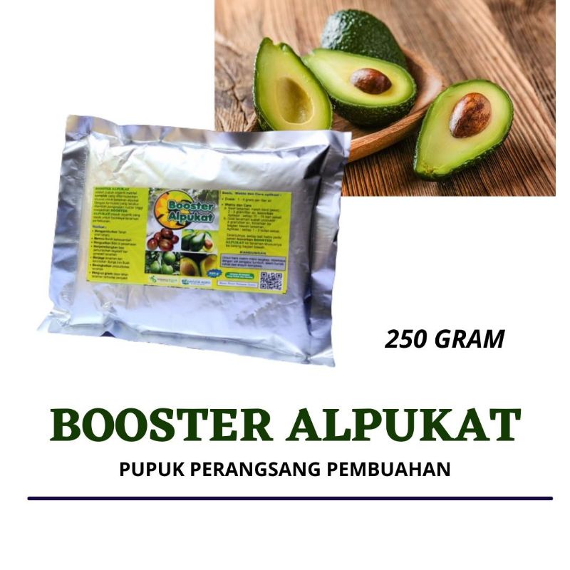 Booster Buah Alpukat, Pupuk Organik Booster Alpukat Perangsang Buah Alpukat
