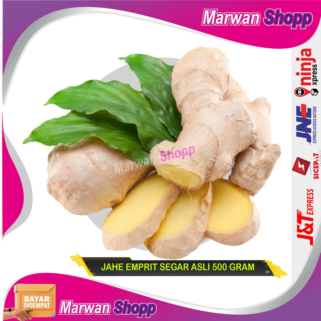 

JAHE EMPRIT 500 GRAM FRESH MARWAN SHOPP