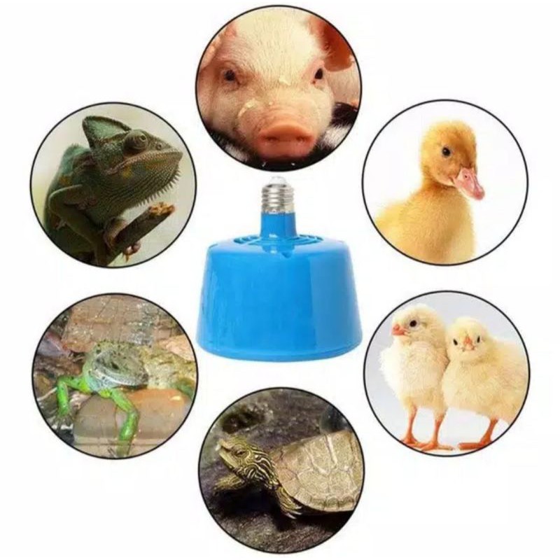 Blower pemanas kandang Doc ayam burung hewan peliharaan reptil kipas pemanas element pemanas mesin tetas telur