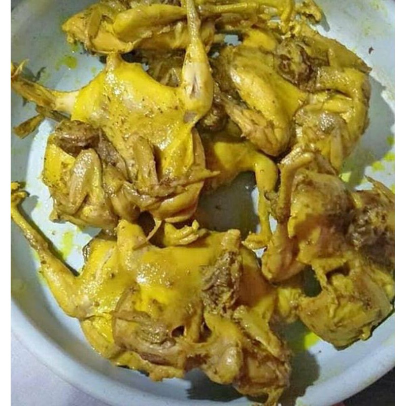 

baru! PUYUH UNGKEP 5 EKOR NO MSG