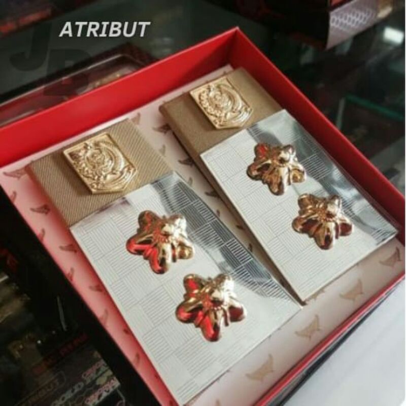

pangkat KADES /LURAH model plat besi PDH