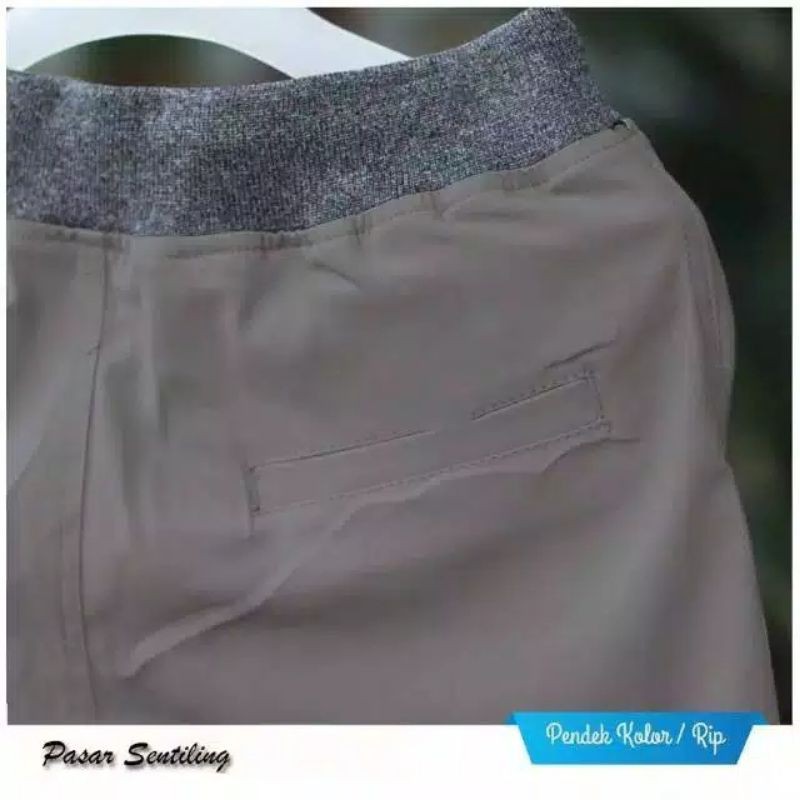 Celana Pendek Pria RIP Surfing Distro Premium Renang Pantai Santai Kolor