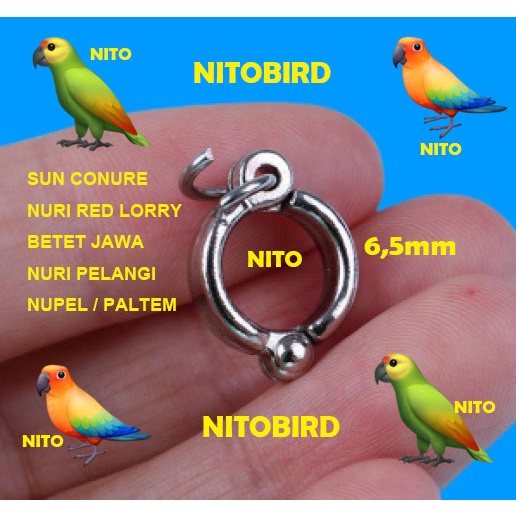 ring borgol 6,5mm sc sun conure nuri red lory nupel ring kaki burung parrot 0,65cm kuat aman ring bo