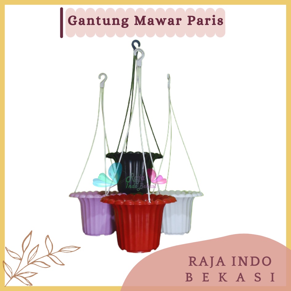 Pot Gantung Mawar Paris 20 Cm Putih Hitam Coklat Merah Bata Pot Gantung 17 20  25 Plastik Lion Star Dinding Putih Murah Unik Sabut Kelapa Pot Gantung 20 PUTIH UNGU HITAM COKLAT POT GANTUNG TERAKOTA Terracotta MERAH BATA