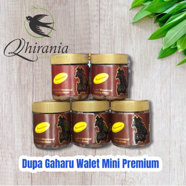 Dupa Gaharu asli walet