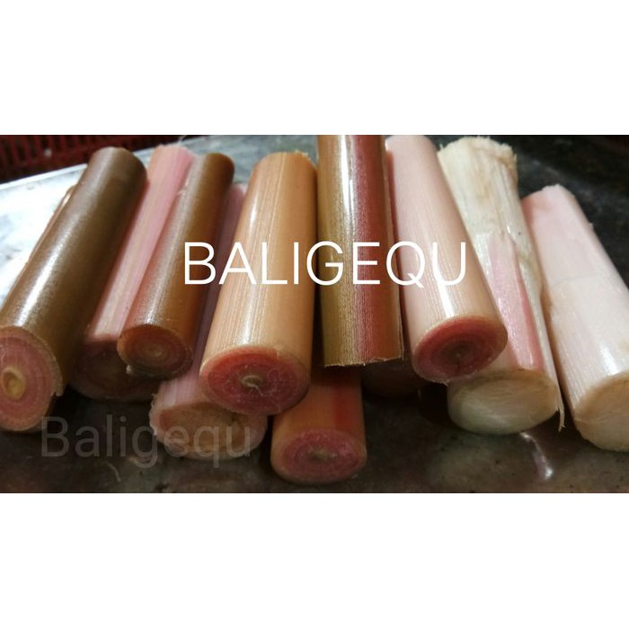 

Batang Kecombrang/Kincung/Rias 500gram