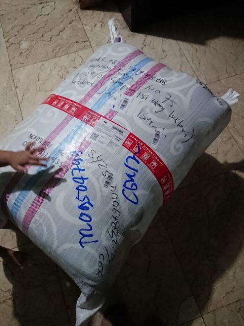 Sofabed 200x200x20 Inoac Eon D23 Cover Katun Nikita Star Garansi 10th Termurah