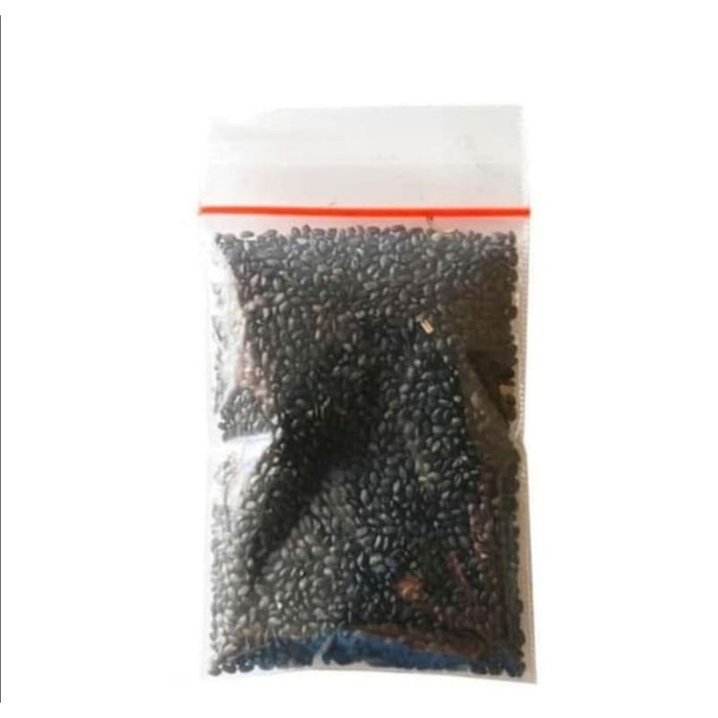 

biji selasih 1 pack