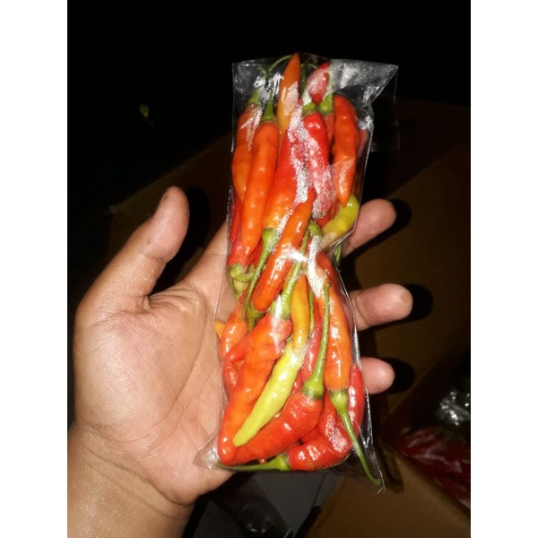 

cabe rawit merah organik