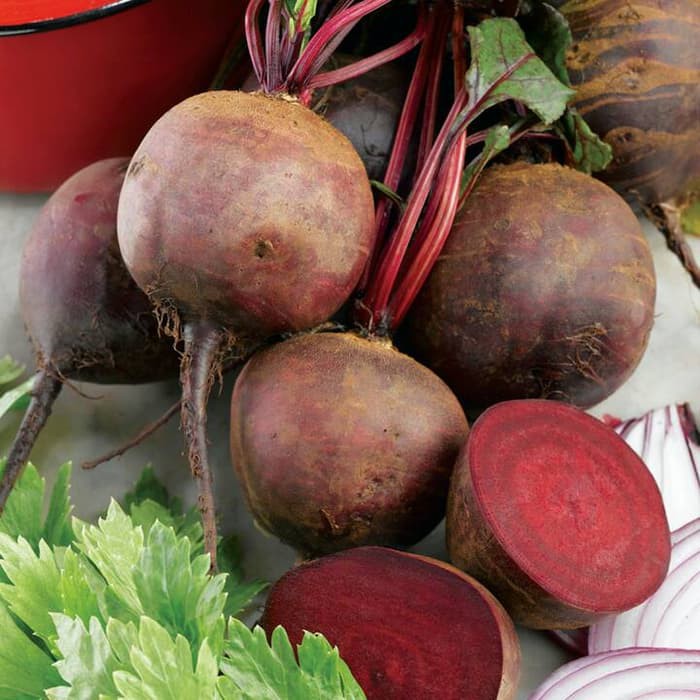 Benih Bibit Biji - Beetroot Boltardy Buah Bit Merah Beet Seeds - IMPORT