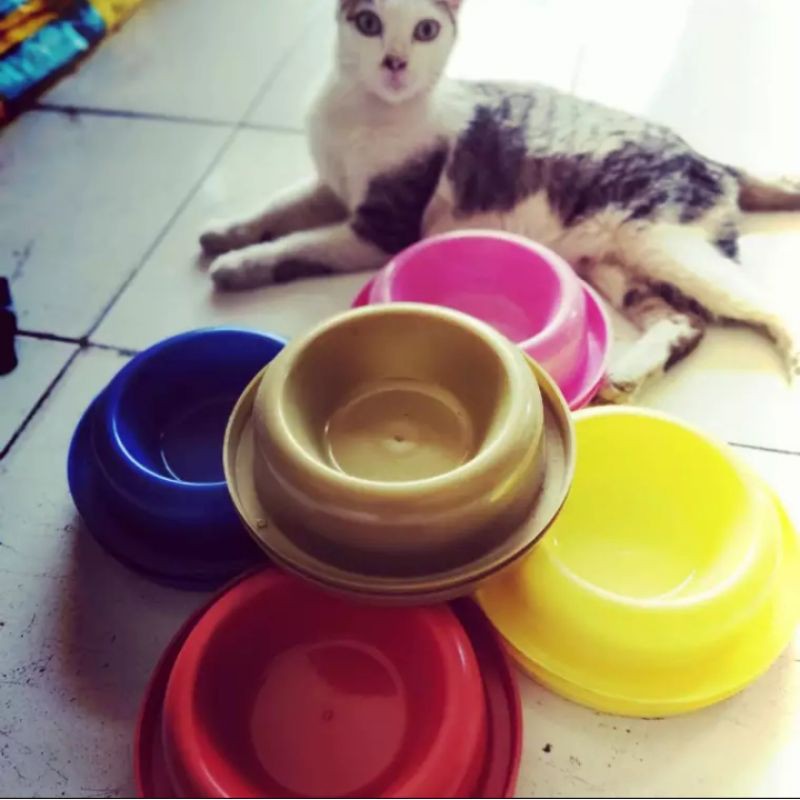 Tempat Makan Kucing &amp; Anjing warna Anti Semut Murah