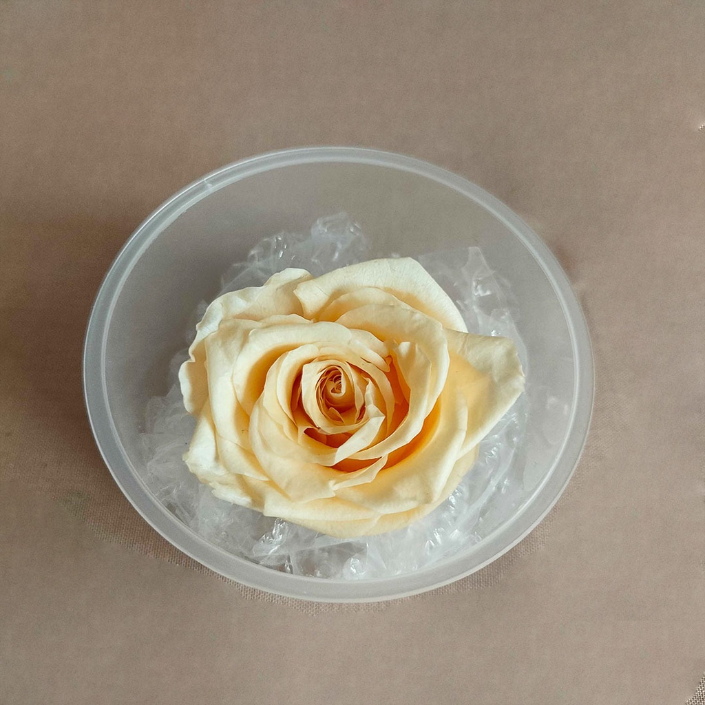 Artificial Flower Preserved Rose  Bunga Kering  Dekorasi Hias Pajangan