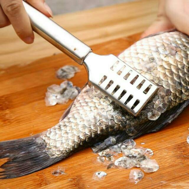 Alat Pembersih Sisik Ikan dengan Bahan Stainless yang Anti Karat