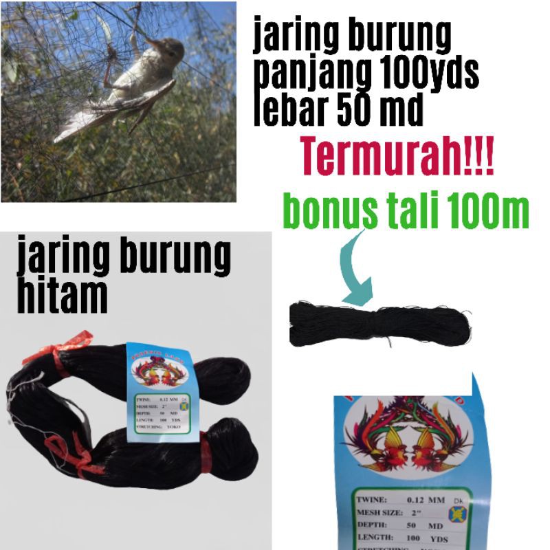 JARING BURUNG KECIL panjang 100yds x 50md BONUS TALI 100M