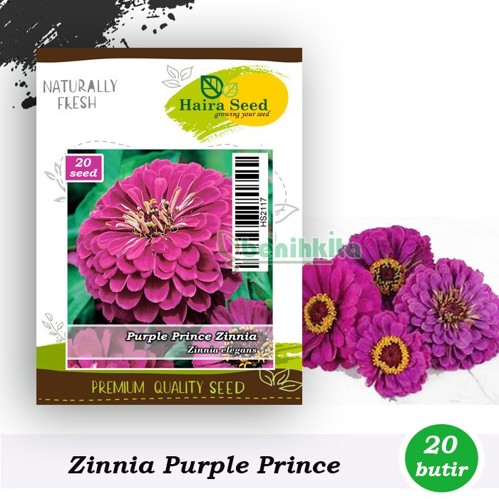 Benih-Bibit Bunga Zinnia Ungu/Purple Prince (Haira Seed)