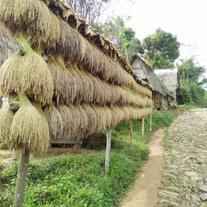 

Siap Kirim Gula Bubuk Aren Semut Palm Sugar Organik Murni