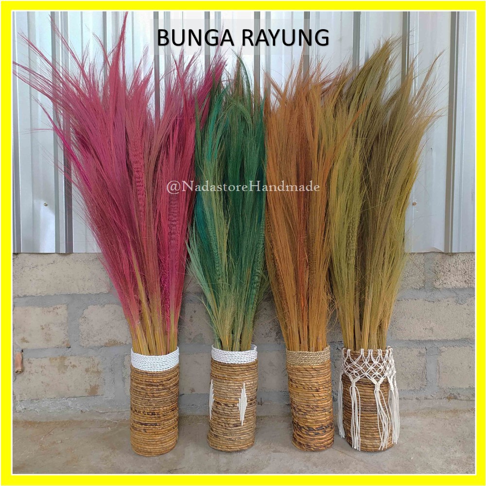 Dried flower Long grass 100 cm / Bunga kering / pampas merak / Rayung 1 ikat isi 10 sd 12 tangkai