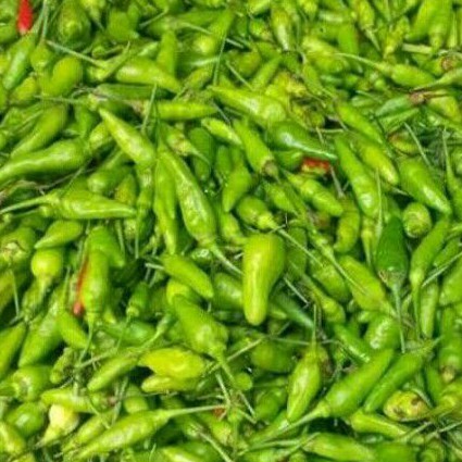 

Cabai Rawit Hijau 250 Gram sd.1Kg (H.5)